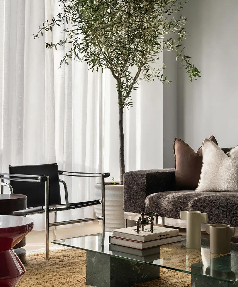 Autumn Project, alternate view: apartment living room in warm autumnal tones with an indoor olive tree, Dubai